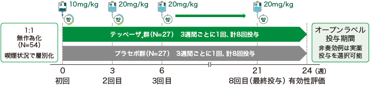 第Ⅲ相、無作為化、二重遮蔽、プラセボ対照、並行群間比較、多施設共同試験